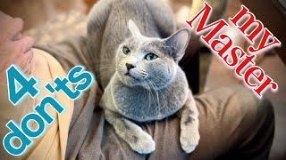 [Russian Blue] 4 things cats don't do to people with higher status | Kotetsu cat