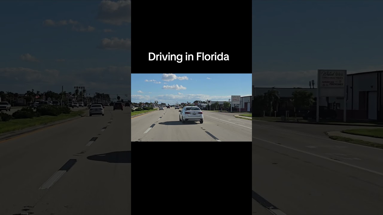 Driving in Florida 