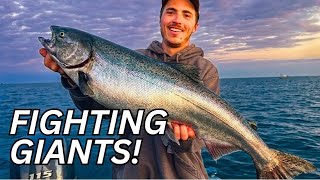 We Didn’t Expect This! Giant Fall Salmon.