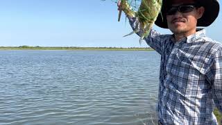 Catching Blue Crabs & Red Fish nonstop! Freeport, TX.  Ep.6