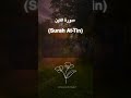 Surah At-Tin Beautiful Reaction 🤲 #quran #surahtin #islamicshorts #ytshortsindia