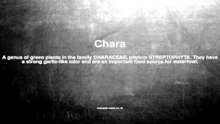 Medical Vocabulary What Does Chara Mean