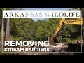 Removing Stream Barriers Across Arkansas