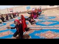 إستعراض علي أغنيه بوابه الحلواني