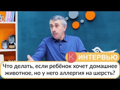 Что делать, если ребенок хочет домашнее животное, но у него аллергия на шерсть? Доктор Комаровский