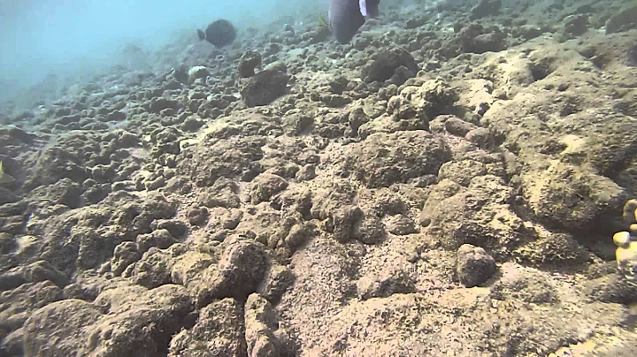 Hawaii 2015 HD