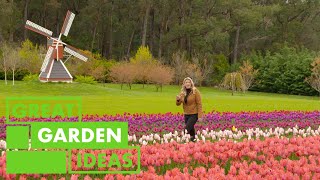 Everything you Need to Know About Tulips | GARDEN | Great Home Ideas