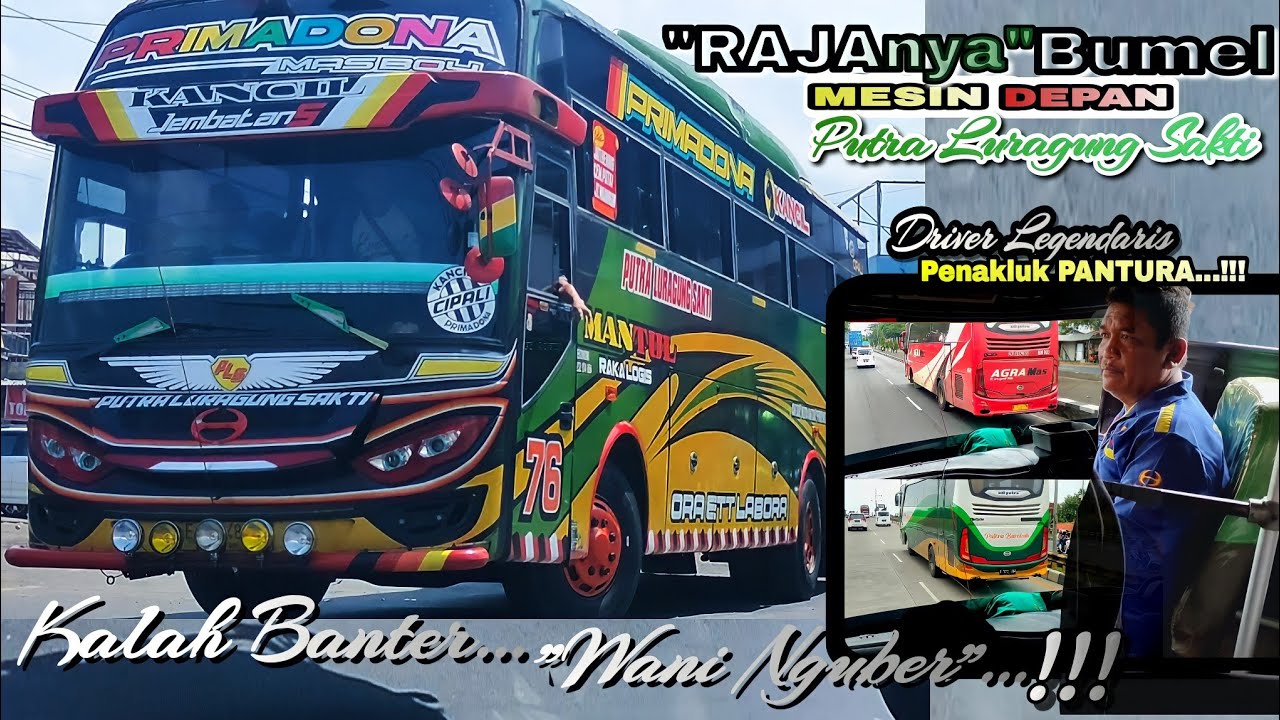 Gahar...‼️Ketika Luragung Primadona KANCIL merasakan Garangnya Jalur Pantura...