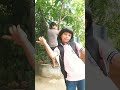 Dora Bujji😁 #funny #trending #youtobe #shorts
