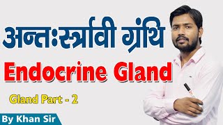 Endocrine Gland | अंत: स्रावी ग्रंथि | Part - 2 | Khan GS Research Center