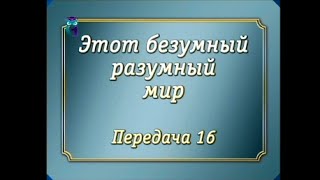 Законы мироздания. Передача 16. Теория относительности. Релятивизм. Постулаты и парадоксы