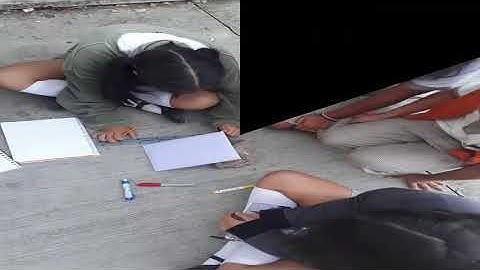 I-Wall-Est213 in Physics (motion sensor with Arduino, Free Fall and Inclined Plane)