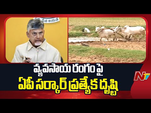 AP Govt Special Focus on AP Agriculture | CM Chandrababu | NTV Telugu - NTVTELUGU