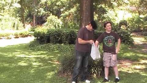 Fixed Ratio Scheduling Of Reinforcement