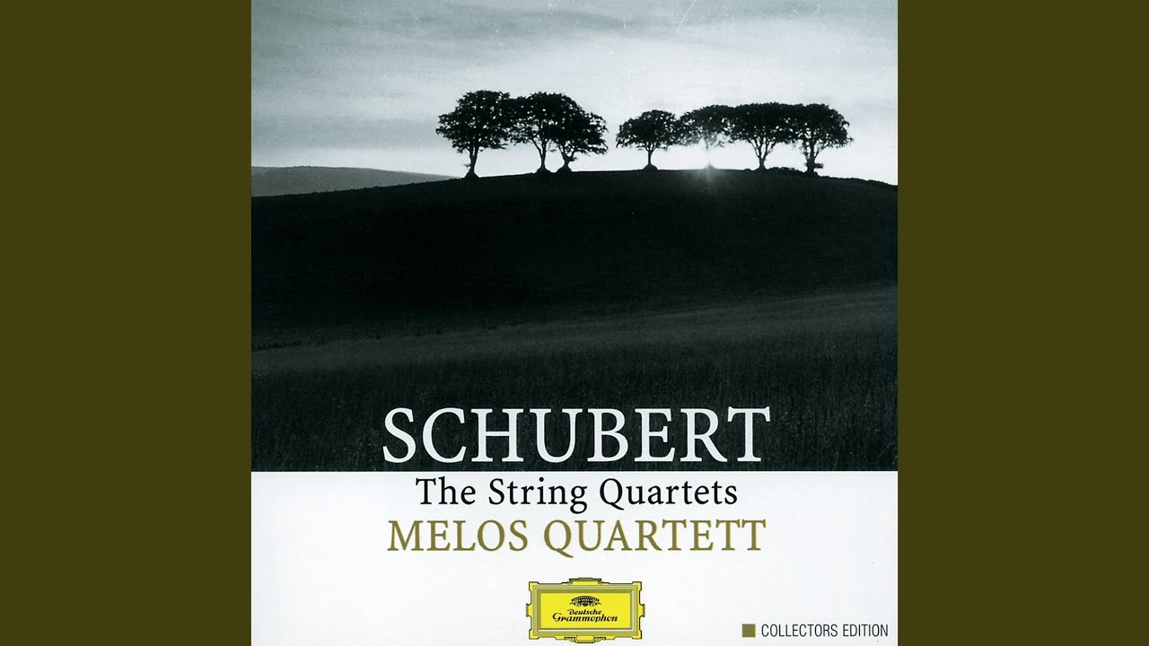 Schubert: String Quartet No. 4 in C Major, D. 46: IV. Allegro