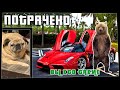 ПОТРАЧЕНО. Вы кто такие. Лучшие приколы 2021, смешные видео и фейлы