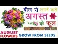 बीज से लगने वाले अगस्त के फूल || August Flowers Grow from Seed