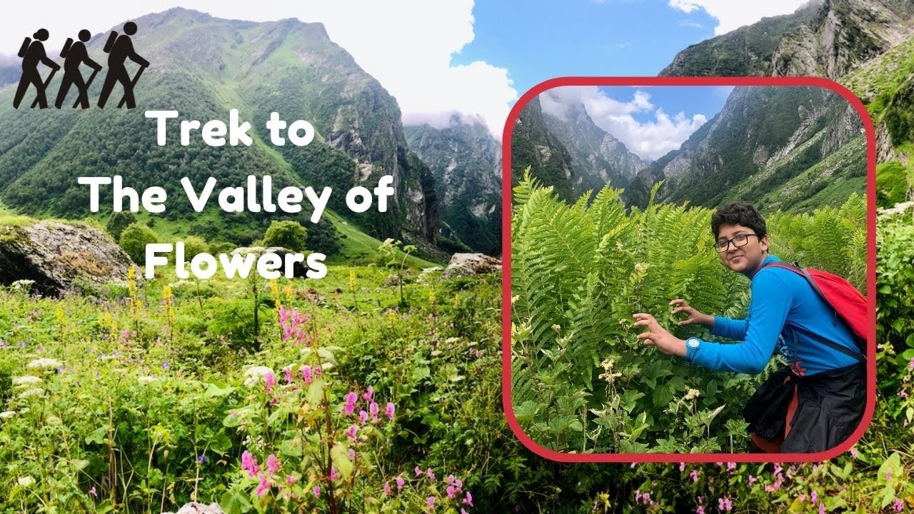 Trek to the Valley of Flowers