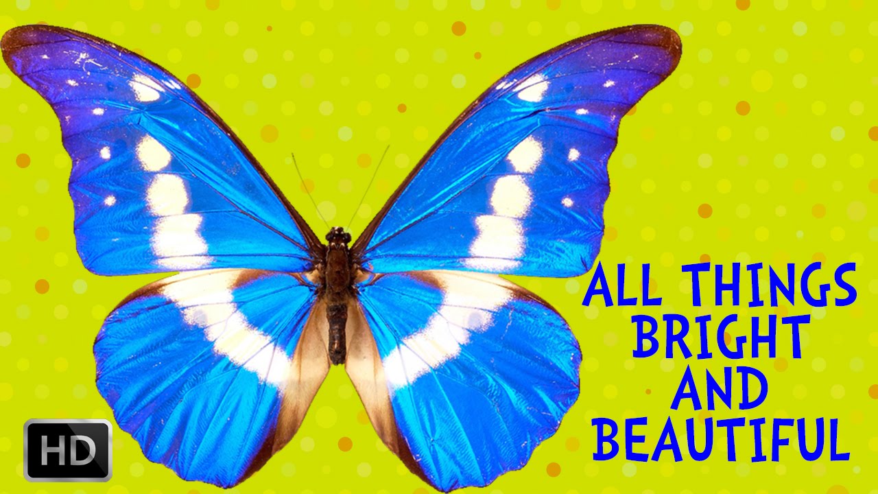 All things Bright and beautiful. All things Wise and wonderful. Be bright be beautiful