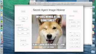 Steganography-ENG6