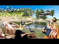 Darkhat Hawa Me Ugg Pada/पेड़ हवा में उग आया / भारत में करामत/Hazrat Baba Farid Ganjshkar -sufism