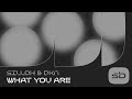 Silloh DKN What You Are mp3