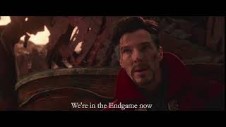 Avengers Infinity War - We're in the Endgame now
