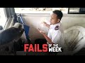 Monkeys Do Weird Things - Fails of the Week | FailArmy