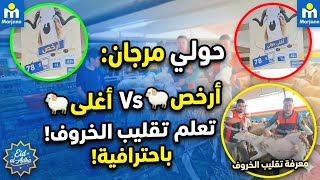 قبل ما تشري حوليك! 🐏 نصائح احترافية لتقليب الخروف وكشف الغش في الاسواق2026 🇲🇦.ثمن أصغر واكبر حولي