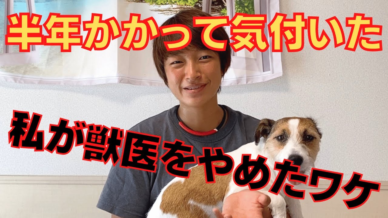 私が獣医をやめた理由を初めて話します。半年間かかってやっと気付けました。