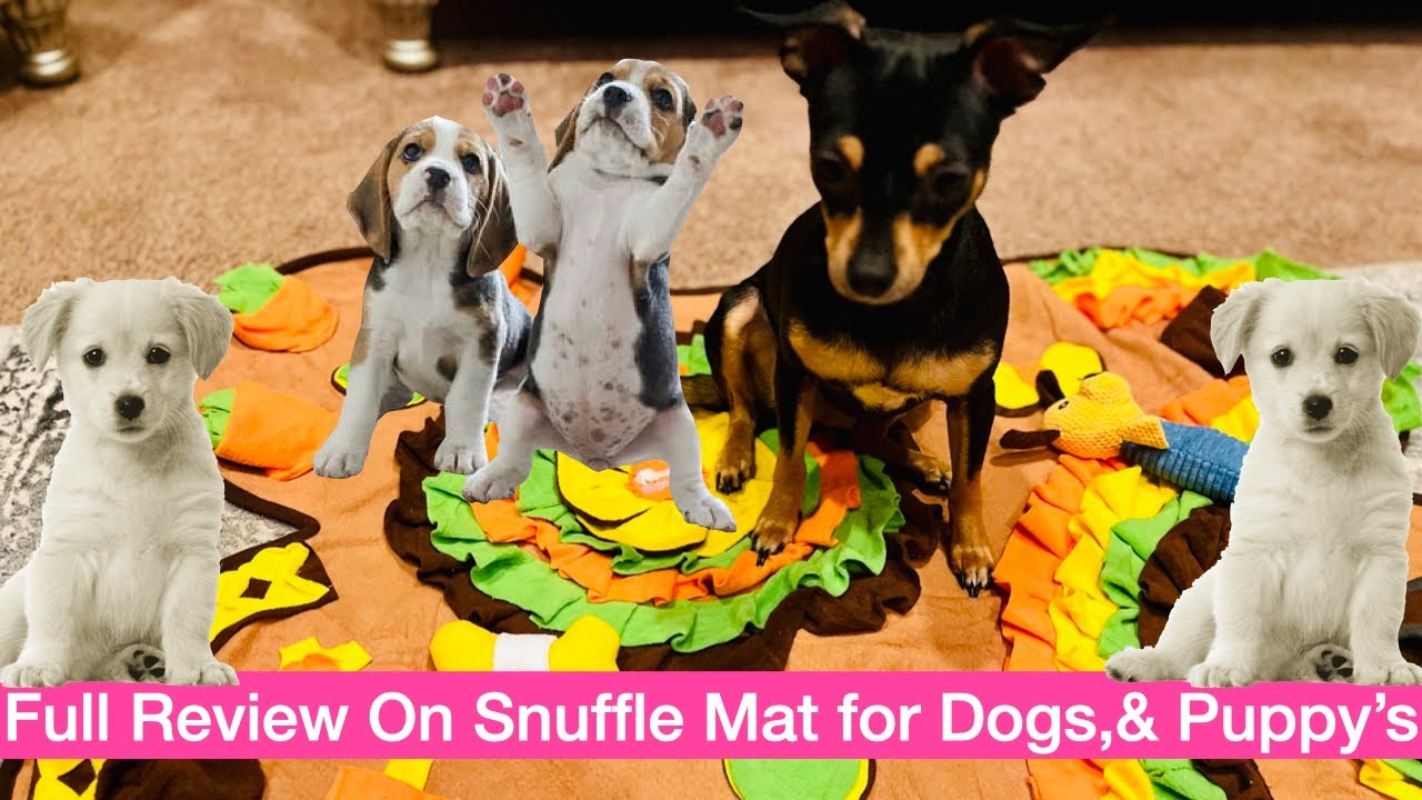 Stress relieving Dog Puzzle Toy: Snuffle Mat For - Temu