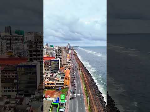 Colombo 🫰