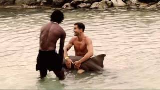 Pon Di Road Dolphin Cove