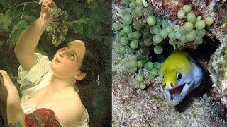 Снорклинг С Муренами На Мальдивах. Moray Eels. Omadhoo. 2021. Snorkeling. Maldives.