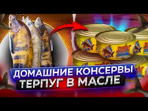 Рыбные консервы в автоклаве. Терпуг в масле.