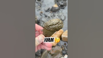 Jurassic 🌊Coast Fossil Hunting Surprises!🤩#fossil#beachfinds#ammonites