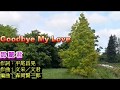 Goodbye My Love