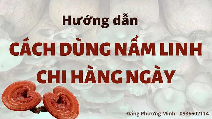 Top 11 nấm linh chi tươi