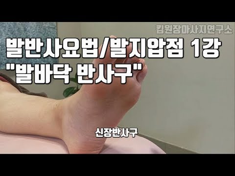 발반사요법/발지압점 1강좌: 발바닥 반사구