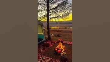 القرآن الكريم☝🏻آيات قصيرة من الذكر الحكيم💚ارح قلبك❤️ وسمعك 🎧
