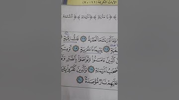 سورة البلد الجزء الثاني من آية ١١_٢٠