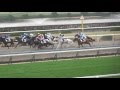 ブチコ、11馬身差の圧勝!岩田騎手もガッツポーズ 。現地映像、京都競馬場。2016.01.15