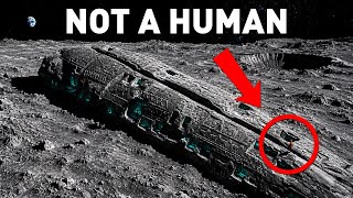 NASA’s Artemis Mission Captured Evidence of a Hidden Life on the Moon