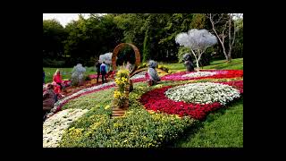 Киев - Выставки цветов