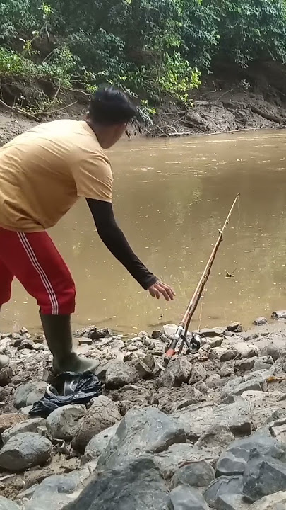mancing ikan baung di sungai Kalimantan timur