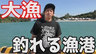 めっちゃくちゃ釣れる漁港に来た！【沖縄東屋慶名】