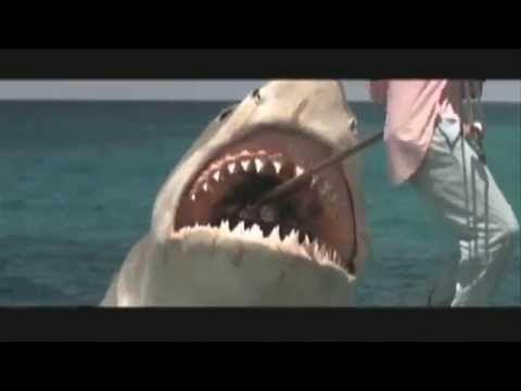 Документальный фильм проект акула
