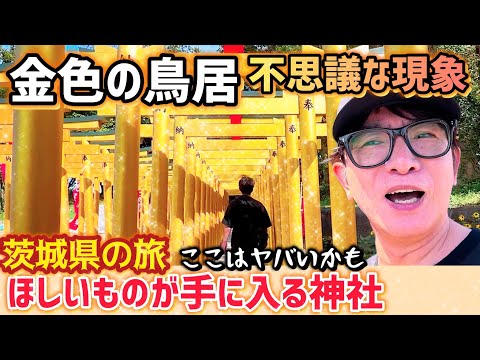 【茨城がヤバい】金色の鳥居と奇跡の大吉が未来を予言する！？感動レベルの激ウマ！入梅イワシとヒラメや鯛を堪能する