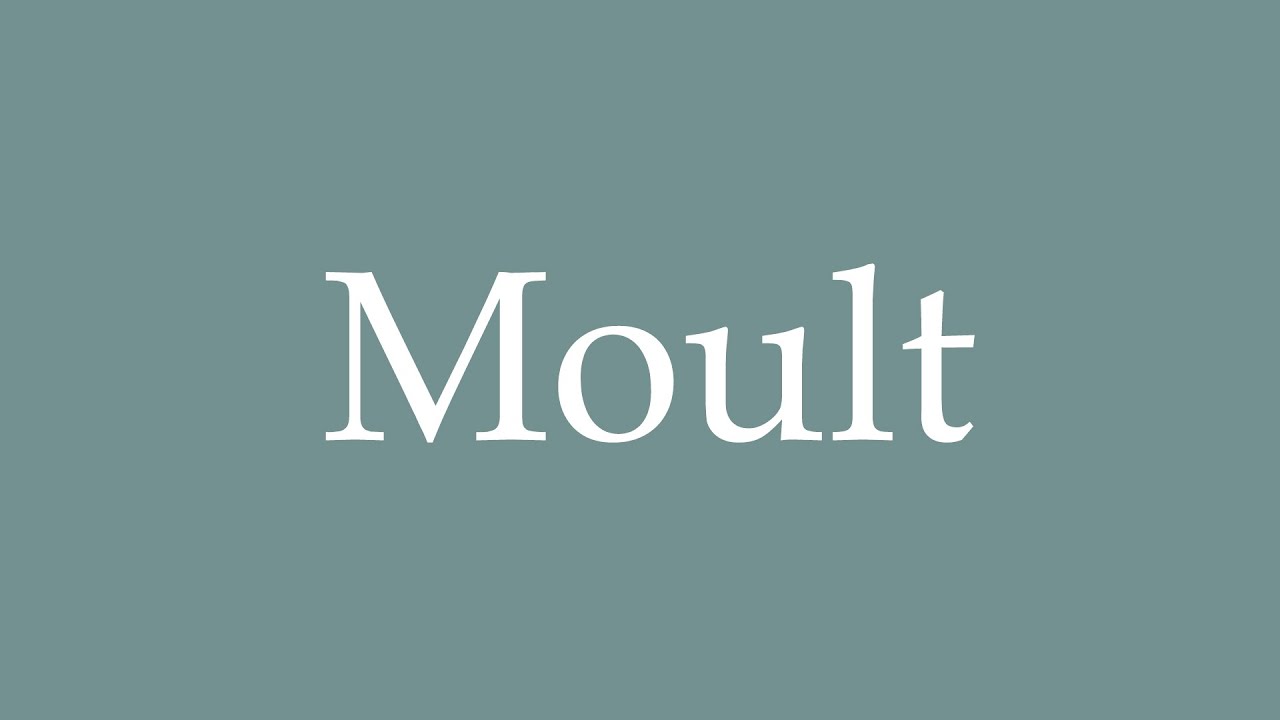 How to Pronounce ''Moult'' (Many) Correctly in French YouTube