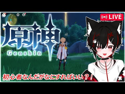 何すればいいかわかんないけどやってみる！#4【原神】